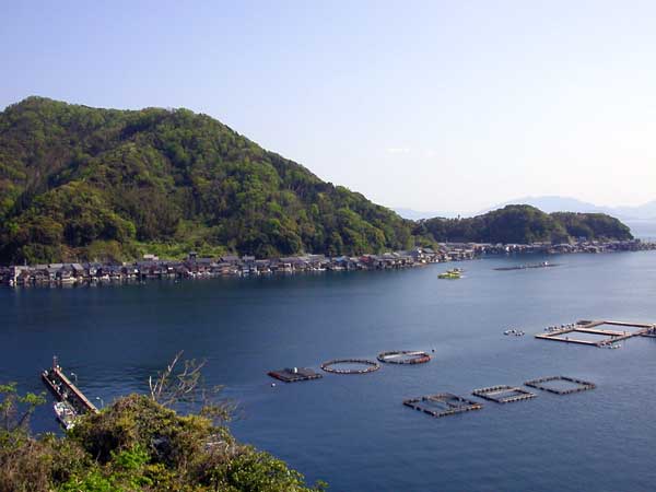 伊根湾　舟屋が海岸線に見えます。海の右端は魚釣り用のイカダ、中央は養殖ですね。